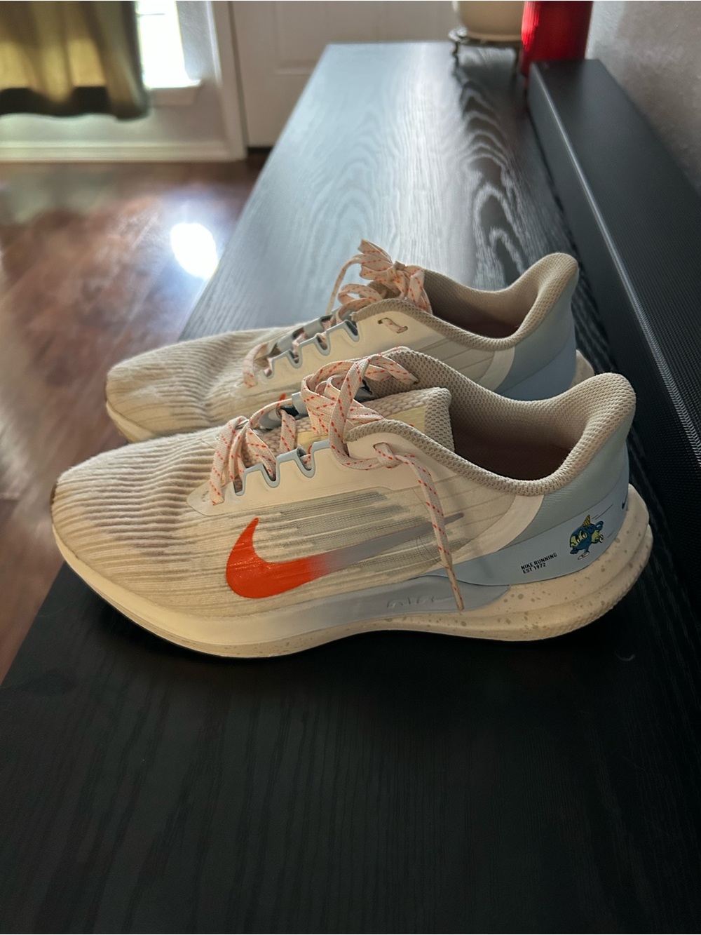 Nike Running Sneakers